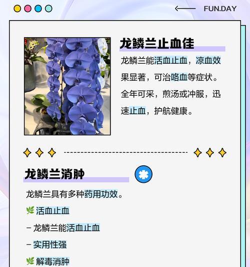 龙须兰的繁殖方法有哪些？
