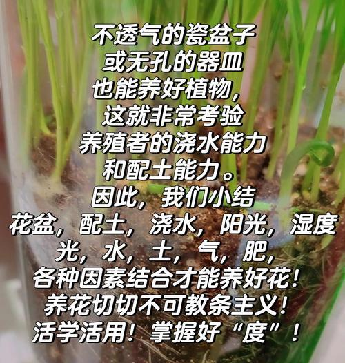 无土栽培花卉的技巧和好处是什么？