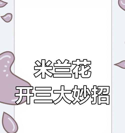 米兰不开花的原因及解决方法是什么？
