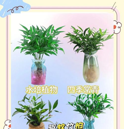 有哪些植物具有驱蚊效果？它们的作用原理是什么？
