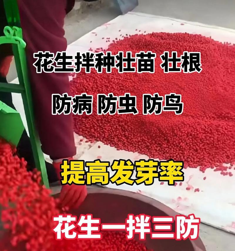 花生生根的正确方法是什么？怎样促进花生快速生根？