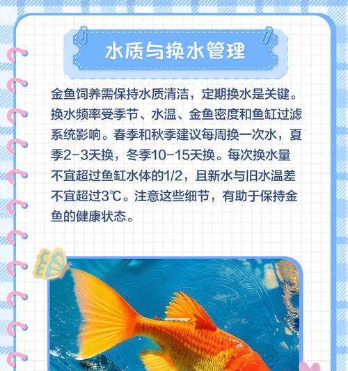 草金鱼的正确喂养方法是什么？