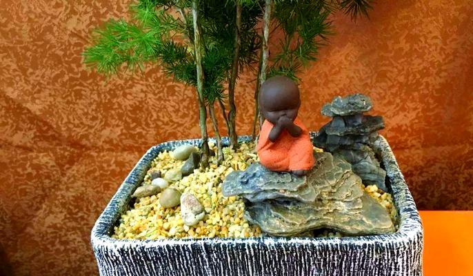 种植松树盆景应该使用什么土壤？选择土壤的要点是什么？