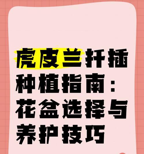 虎尾兰扦插的正确步骤是什么？