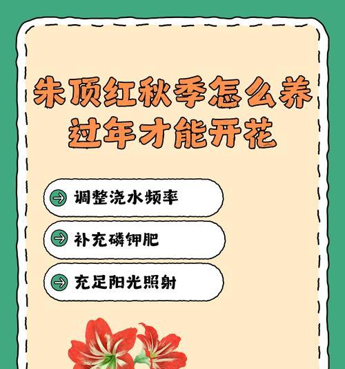 开门红花养殖方法及注意事项？