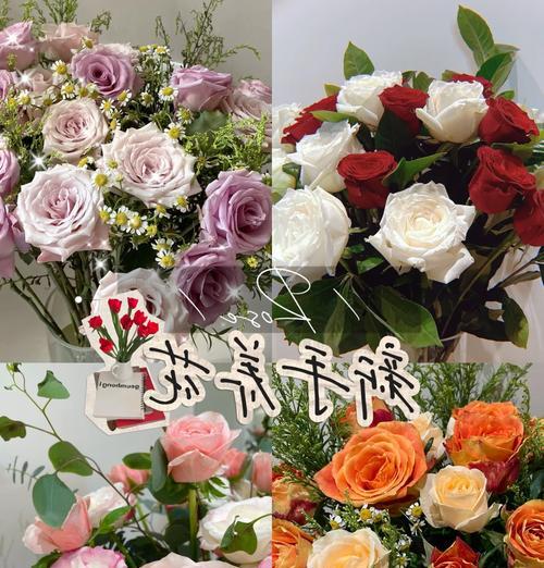 玫瑰有哪些品种？玫瑰品种选择与养护指南？