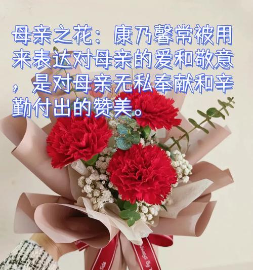 康乃馨的花语及其象征意义是什么？