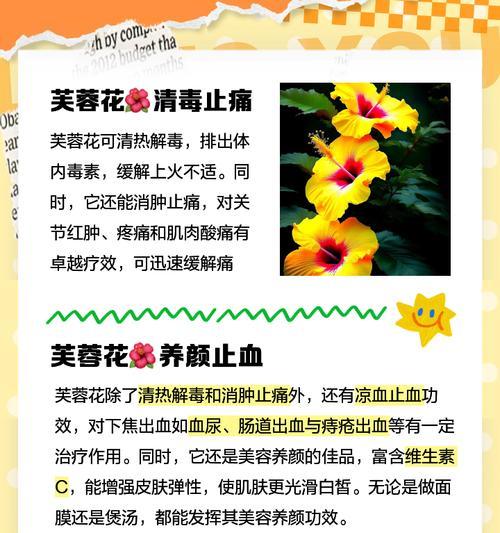 芙蓉花的养殖方法和注意事项是什么？