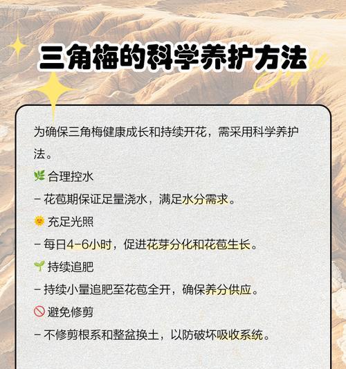 三角梅的养护技巧和常见问题是什么？