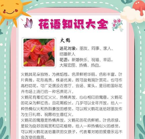火鹤养殖需要注意什么？火鹤的日常护理方法是什么？