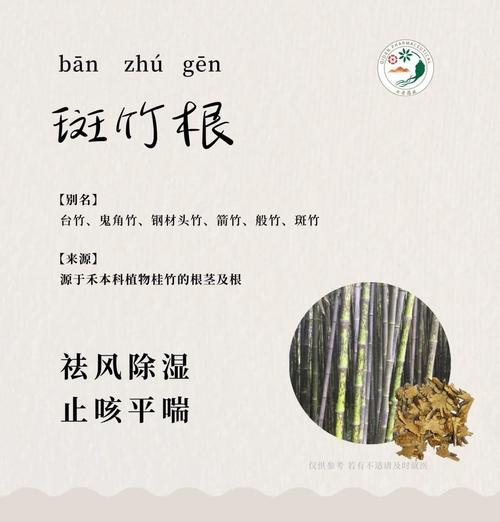 竹子烂根的原因是什么？如何预防和处理？