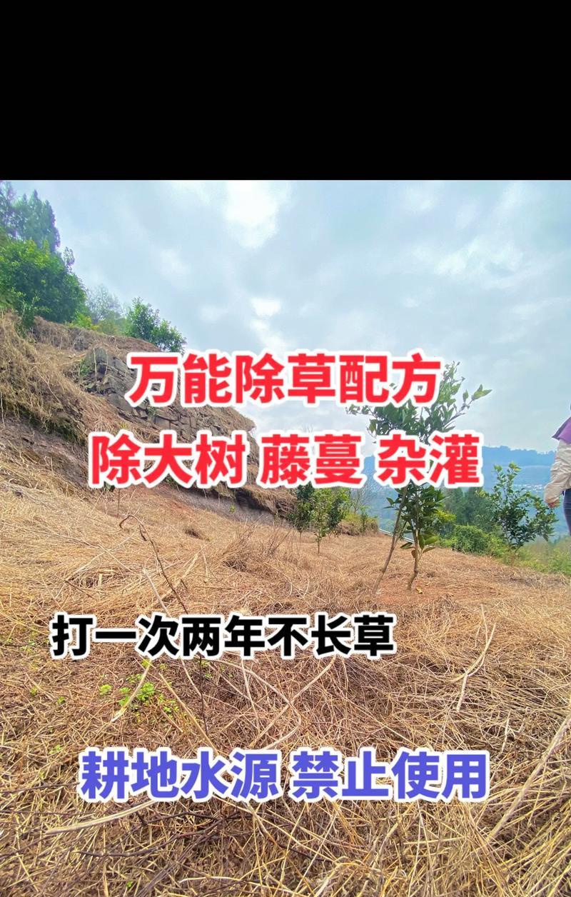 竹子烂根的原因是什么？如何预防和处理？