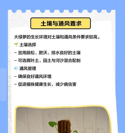 绿萝的养殖方法是什么？如何养出茂盛的绿萝？