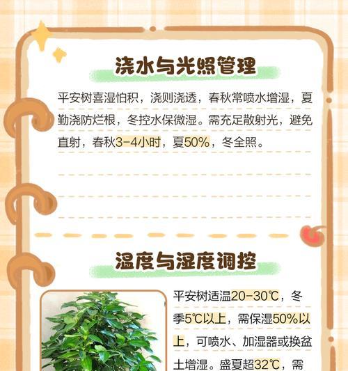 平安树如何养护才能长得更好？