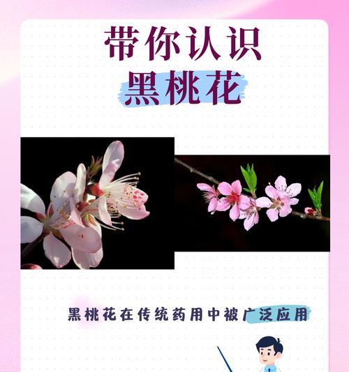 桃花长什么样？如何辨别桃花与其他相似花卉？