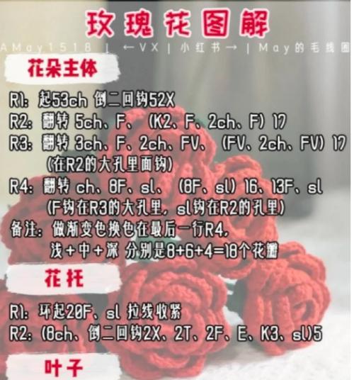 玫瑰花繁殖的正确步骤和技巧是什么？