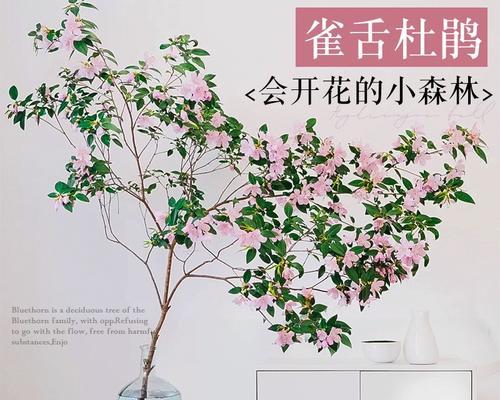 杜鹃花水养的正确方法是什么？