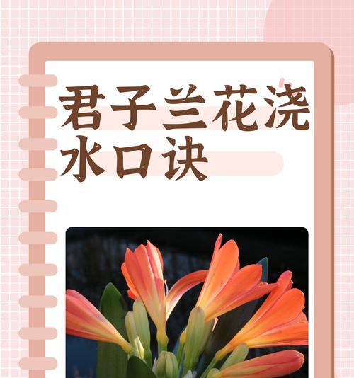 盆栽市场的发展前景如何？盆栽投资需要注意什么？