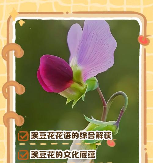 白牡丹砍头的方法是什么？砍头后如何护理？