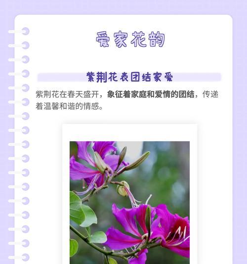白牡丹砍头的方法是什么？砍头后如何护理？