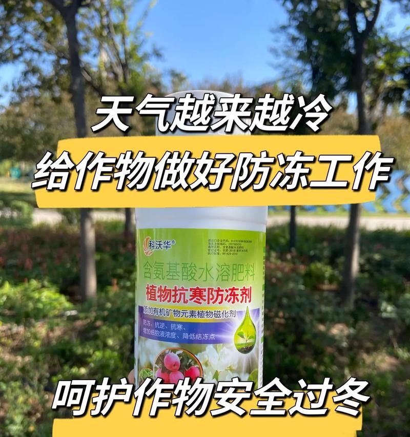 冬季植物防冻方法是什么？如何确保植物安全过冬？