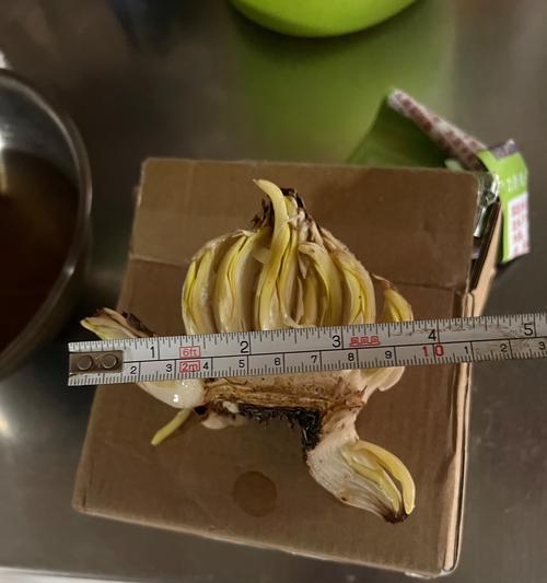 水仙花雕刻的目的是什么？