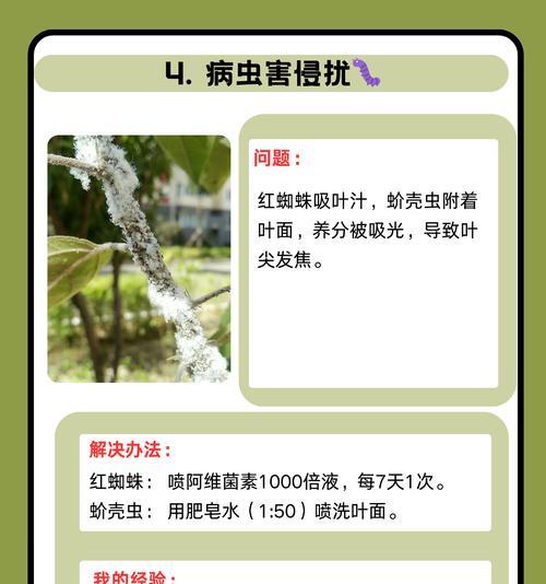 花草枯萎的原因是什么？如何有效挽救？
