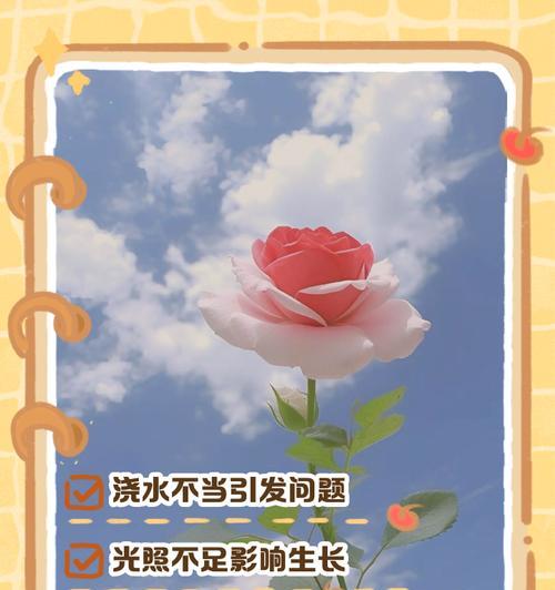 花草枯萎的原因是什么？如何有效挽救？