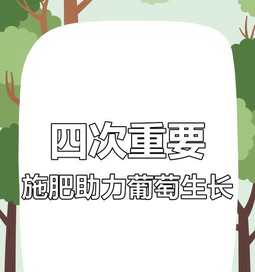 盆栽葡萄养护要点是什么？如何确保其果实品质？