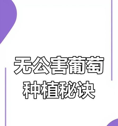 盆栽葡萄养护要点是什么？如何确保其果实品质？
