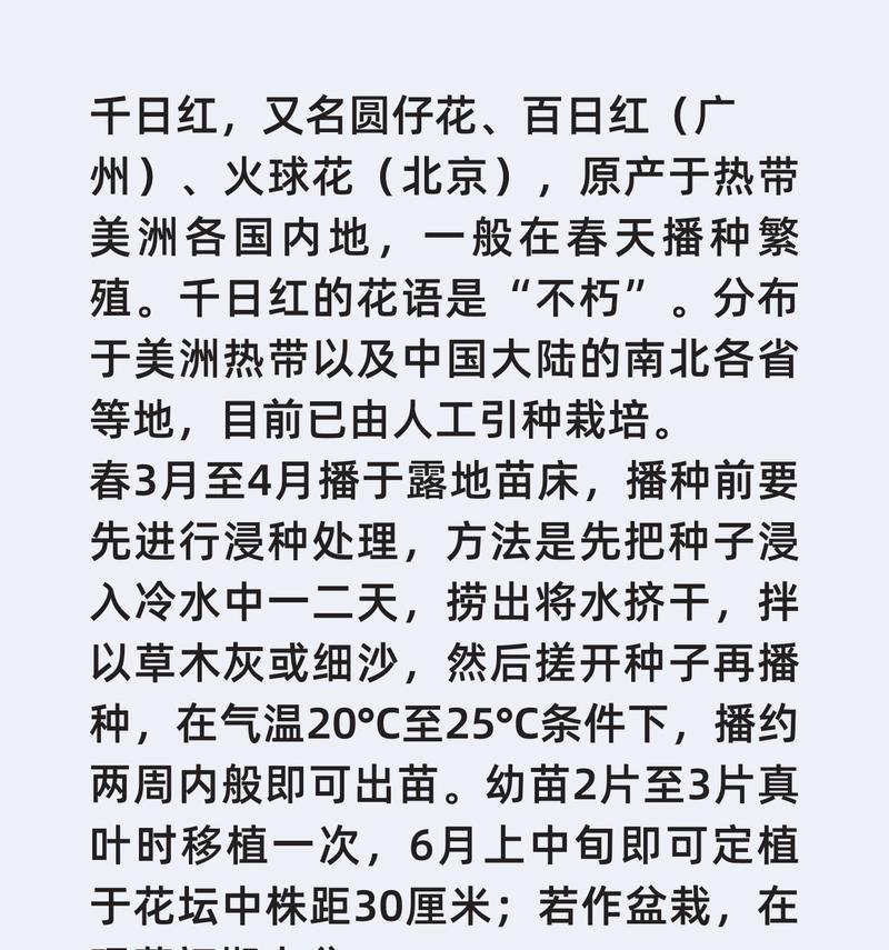 千日红种植步骤是什么？
