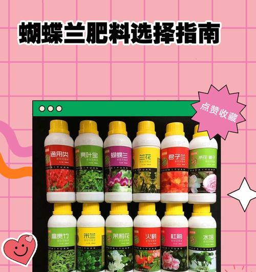 蝴蝶兰施肥需要注意什么？如何避免施肥不当？