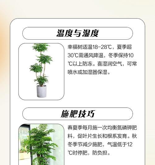 怎么养树才能枝繁叶茂？树木养护的基本技巧？