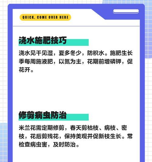 米兰浇水的正确频率和技巧是什么？