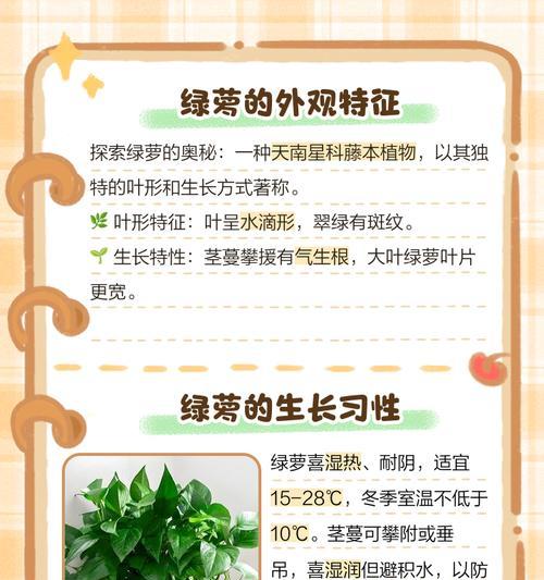 绿萝花的形态特征有哪些？