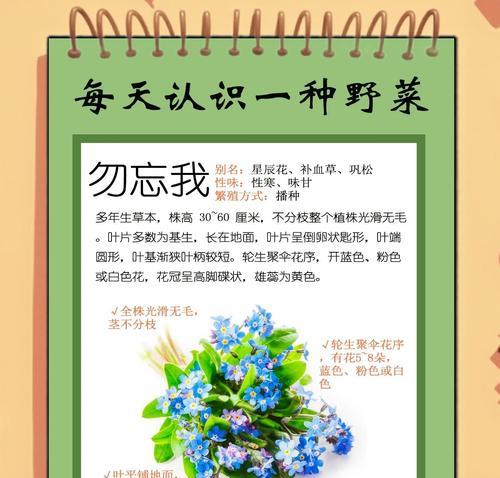 勿忘我花籽播种的正确方法和步骤？