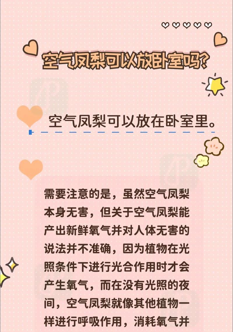 空气植物的养殖方法有哪些？如何保证其生长环境？