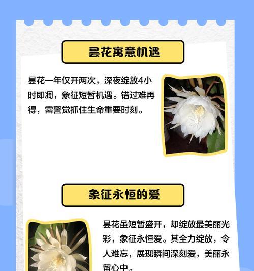 昙花的特征是什么？昙花的养护和繁殖方法有哪些？