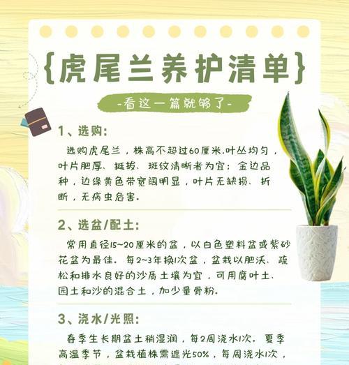 虎皮兰的养殖技巧是什么？