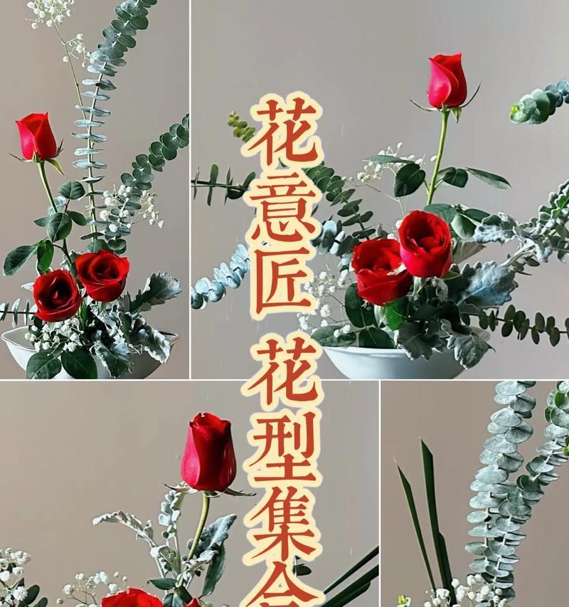 插花常用的花卉有哪些？插花的基本技巧是什么？