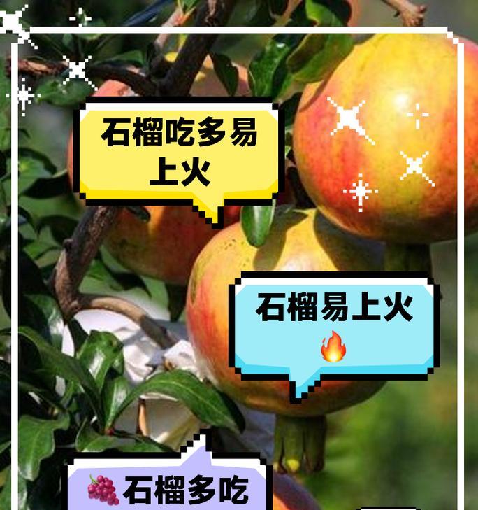 石榴如何种植？家庭种植石榴的步骤和注意事项是什么？