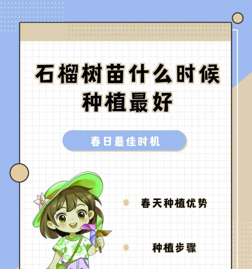 石榴如何种植？家庭种植石榴的步骤和注意事项是什么？