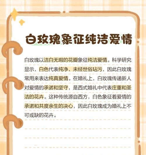 玫瑰花代表了什么含义？