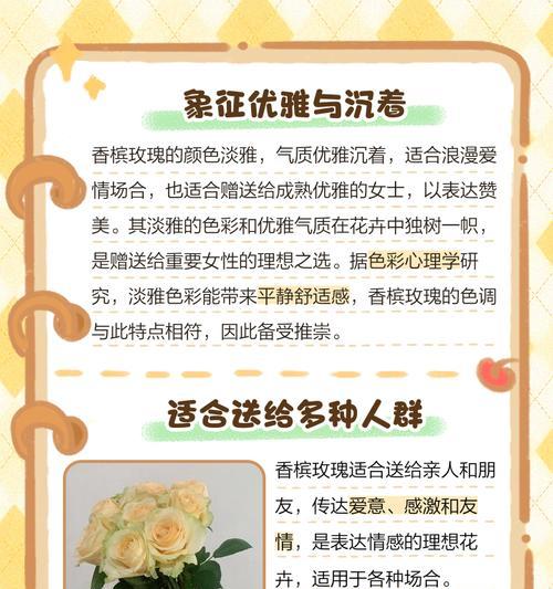 玫瑰花代表了什么含义？