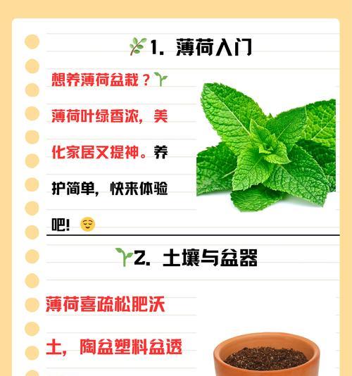 薄荷播种的最佳时机是什么时候？