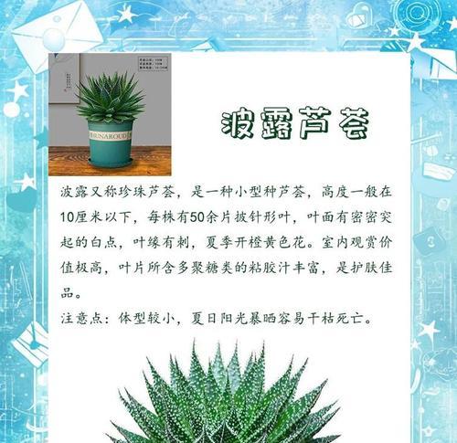芦荟适合种植在什么土壤中？芦荟的土壤选择和配制方法是什么？