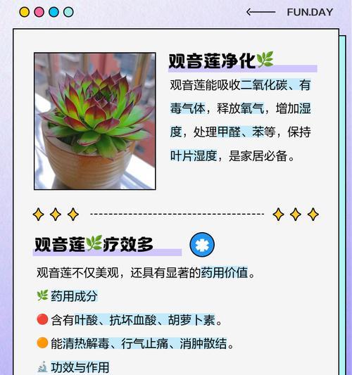 观音莲叶片发黑的原因及解决方法是什么？