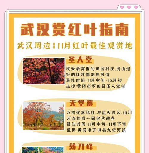 一品红落叶是什么原因？如何防止落叶并促进生长？