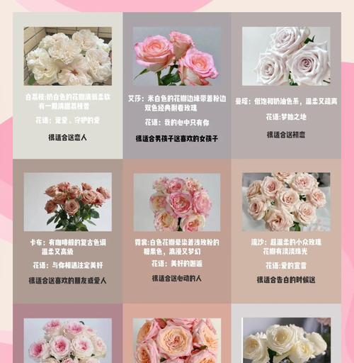 玫瑰生长的条件和养护技巧是什么？