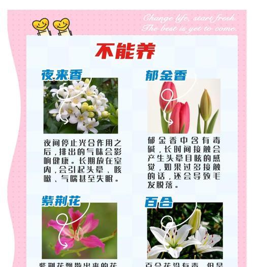 有哪些花有毒？如何避免接触有毒花卉？